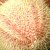 JPEG_2008