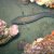 JPEG_2009