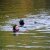 JPEG_2010